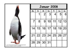 Tier-Kalender-08-01.pdf